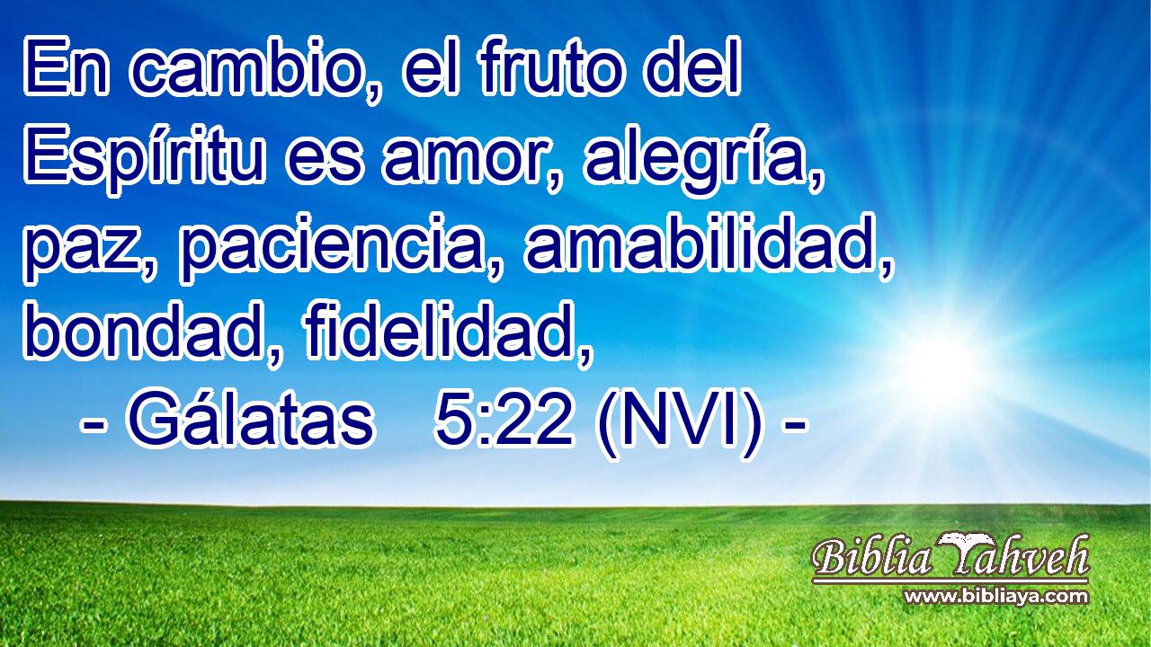  En cambio, el fruto del Espíritu es amor, alegría, paz, paciencia, amabilidad, bondad, fidelidad, 