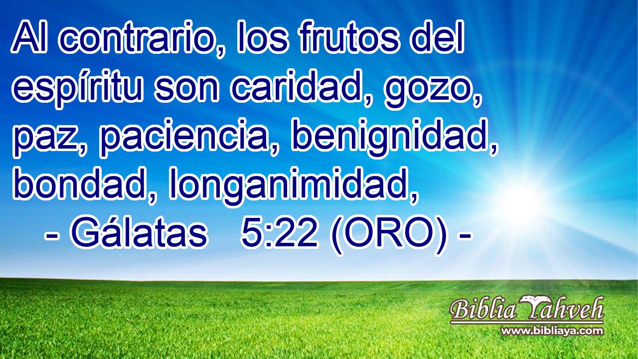  Al contrario, los frutos del espíritu son caridad, gozo, paz, paciencia, benignidad, bondad, longanimidad, 