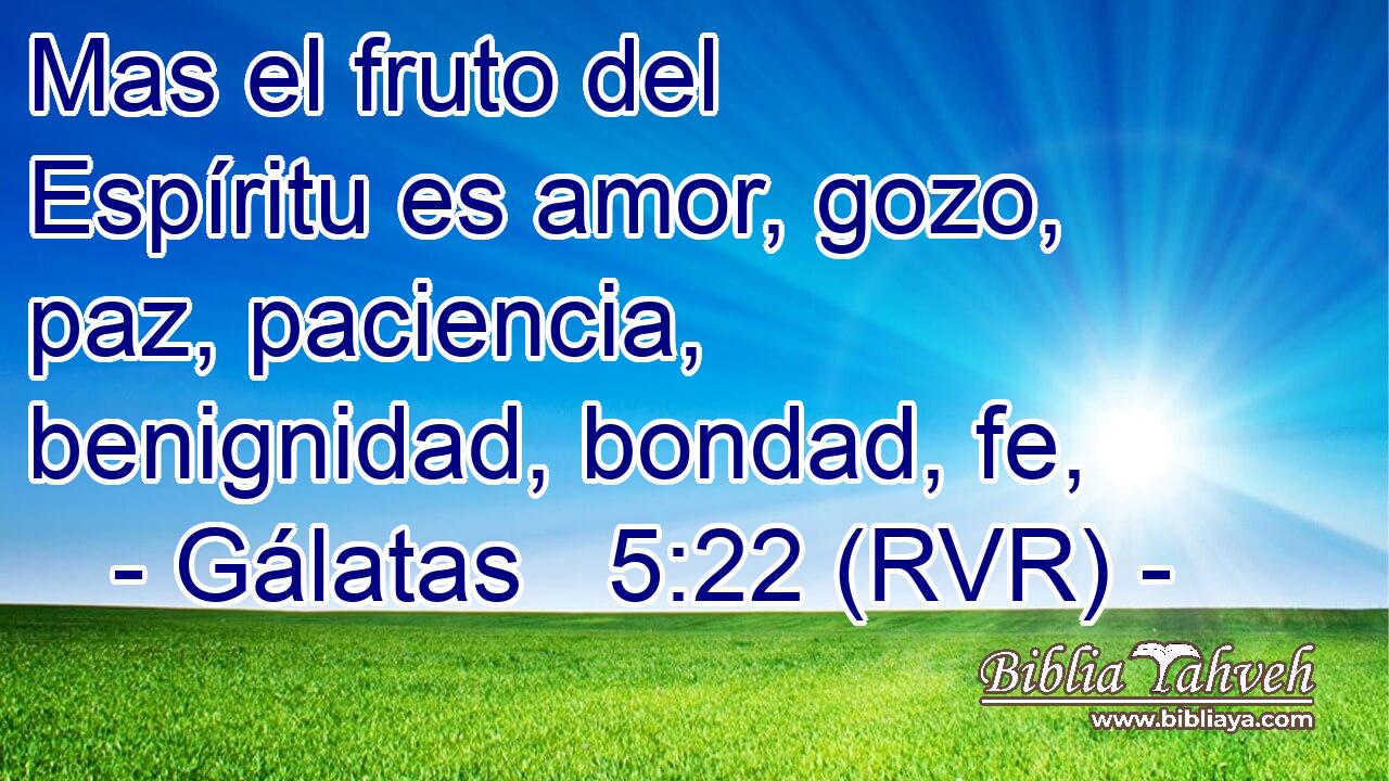 Mas el fruto del Espíritu es amor, gozo, paz, paciencia, benignidad, bondad, fe,