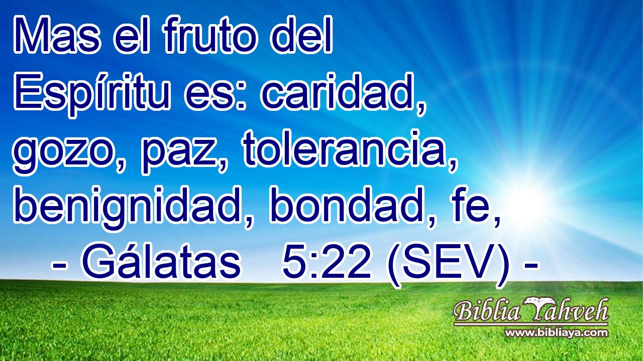 Mas el fruto del Espíritu es: caridad, gozo, paz, tolerancia, benignidad, bondad, fe,