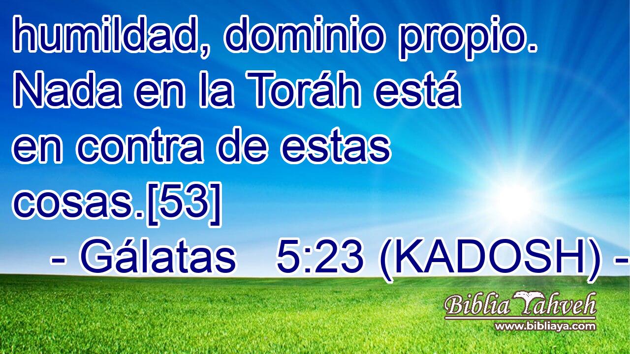  humildad, dominio propio. Nada en la Toráh está en contra de estas cosas.[53] 