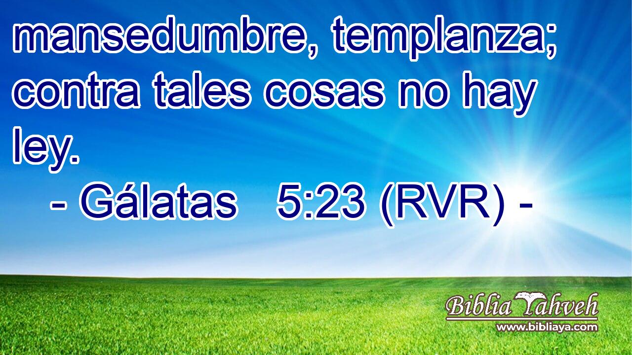 mansedumbre, templanza; contra tales cosas no hay ley.