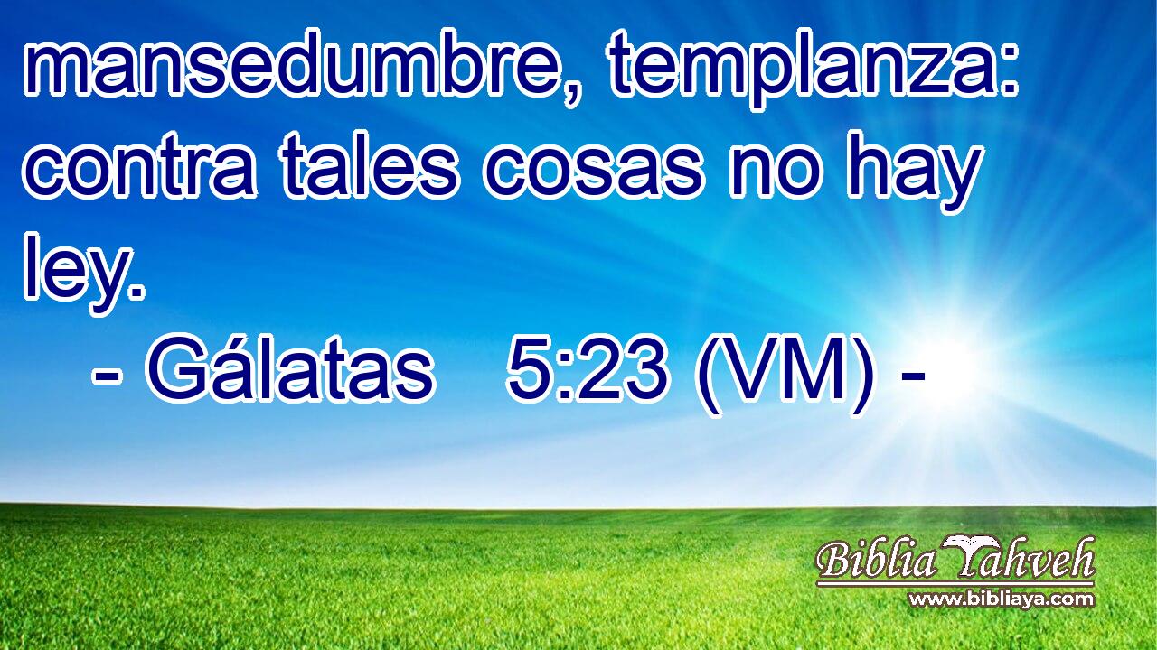  mansedumbre, templanza: contra tales cosas no hay ley. 