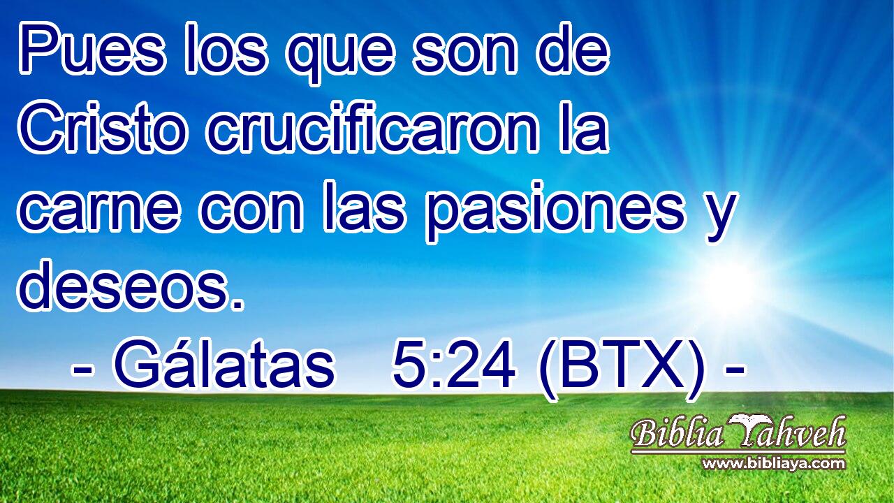 Pues los que son de Cristo crucificaron la carne con las pasiones y deseos.