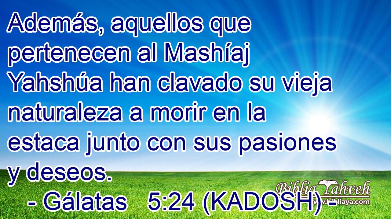  Además, aquellos que pertenecen al Mashíaj Yahshúa han clavado su vieja naturaleza a morir en la estaca junto con sus pasiones y deseos. 