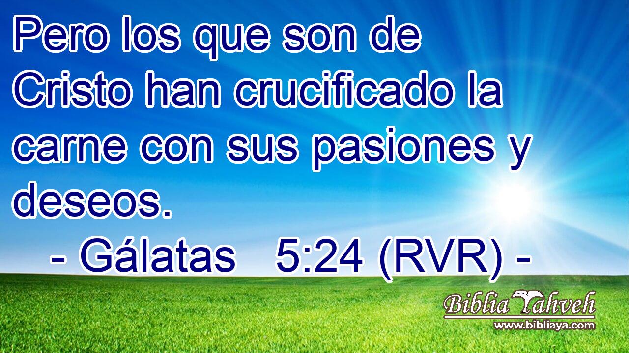 Pero los que son de Cristo han crucificado la carne con sus pasiones y deseos.