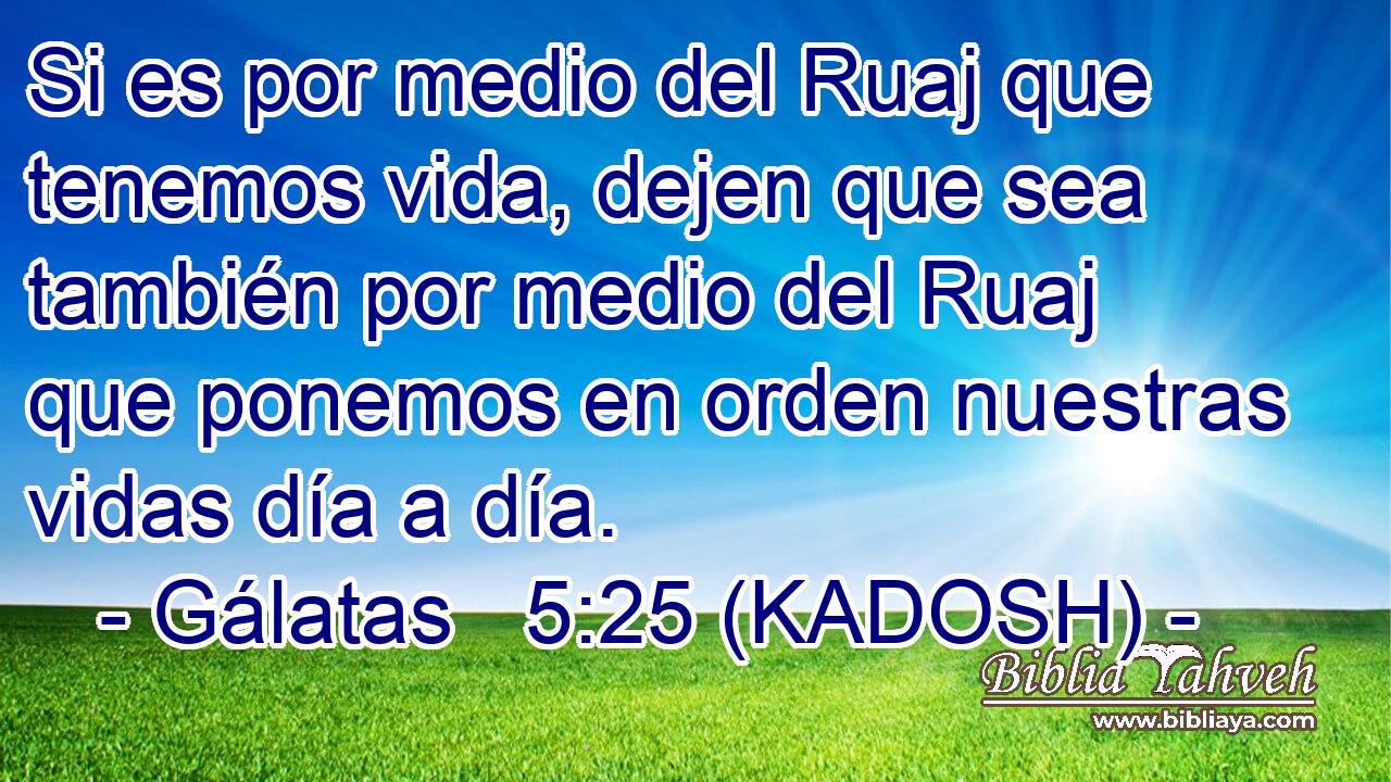  Si es por medio del Ruaj que tenemos vida, dejen que sea también por medio del Ruaj que ponemos en orden nuestras vidas día a día. 