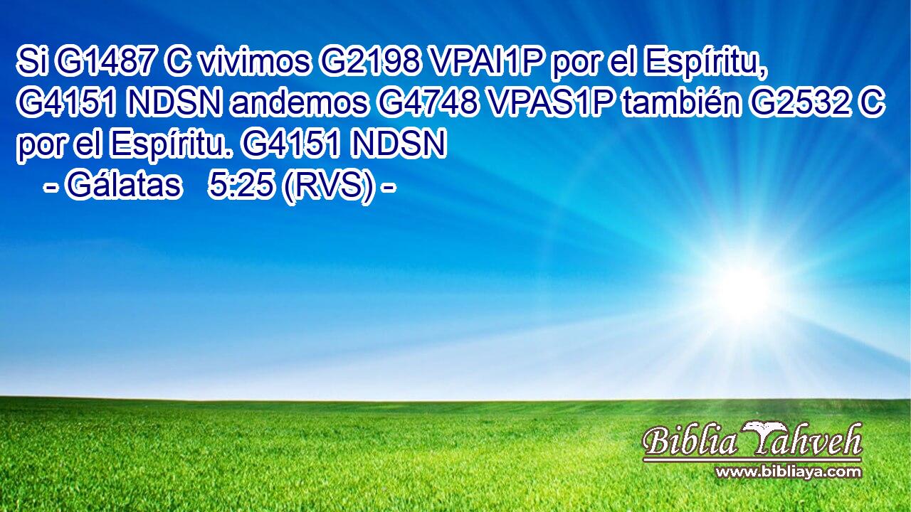 Si G1487 C vivimos G2198 VPAI1P por el Espíritu, G4151 NDSN andemos G4748 VPAS1P también G2532 C por el Espíritu. G4151 NDSN 