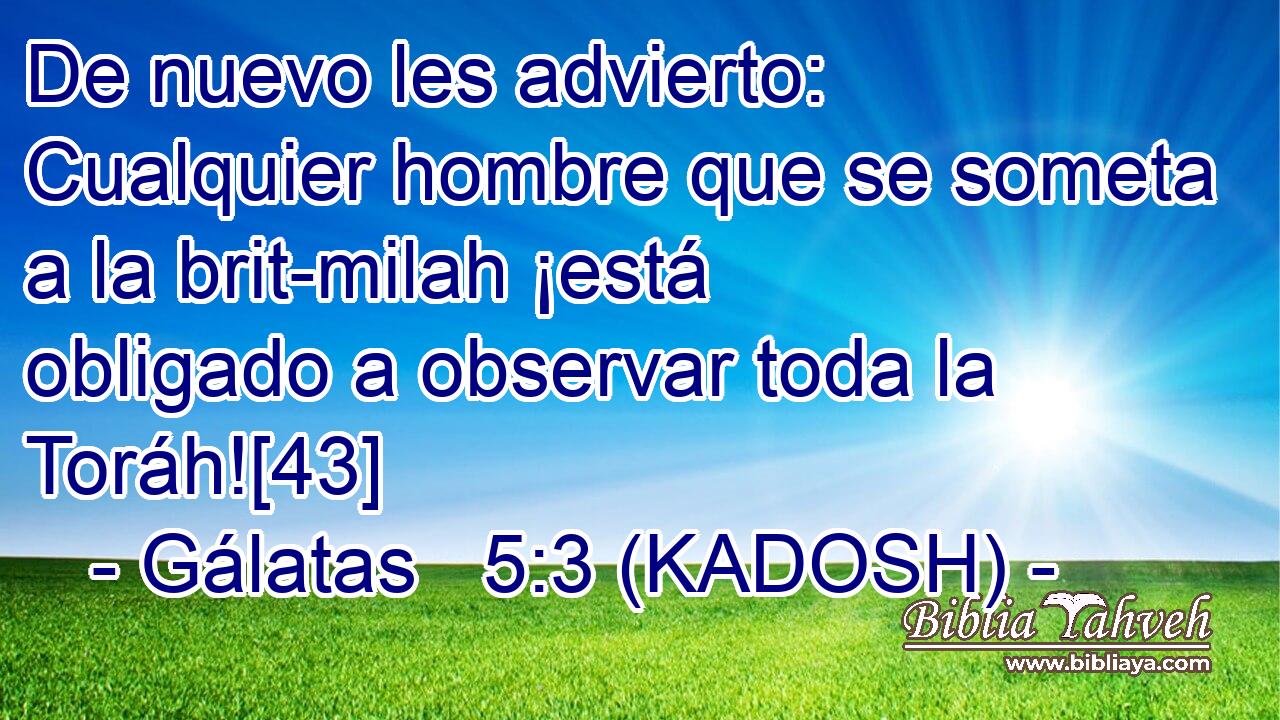  De nuevo les advierto: Cualquier hombre que se someta a la brit-milah ¡está obligado a observar toda la Toráh![43] 