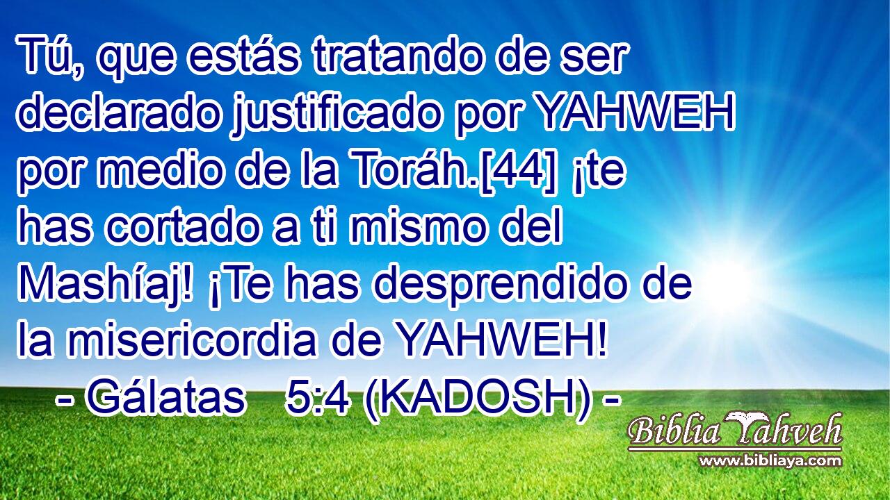  Tú, que estás tratando de ser declarado justificado por YAHWEH por medio de la Toráh.[44] ¡te has cortado a ti mismo del Mashíaj! ¡Te has desprendido de la misericordia de YAHWEH! 