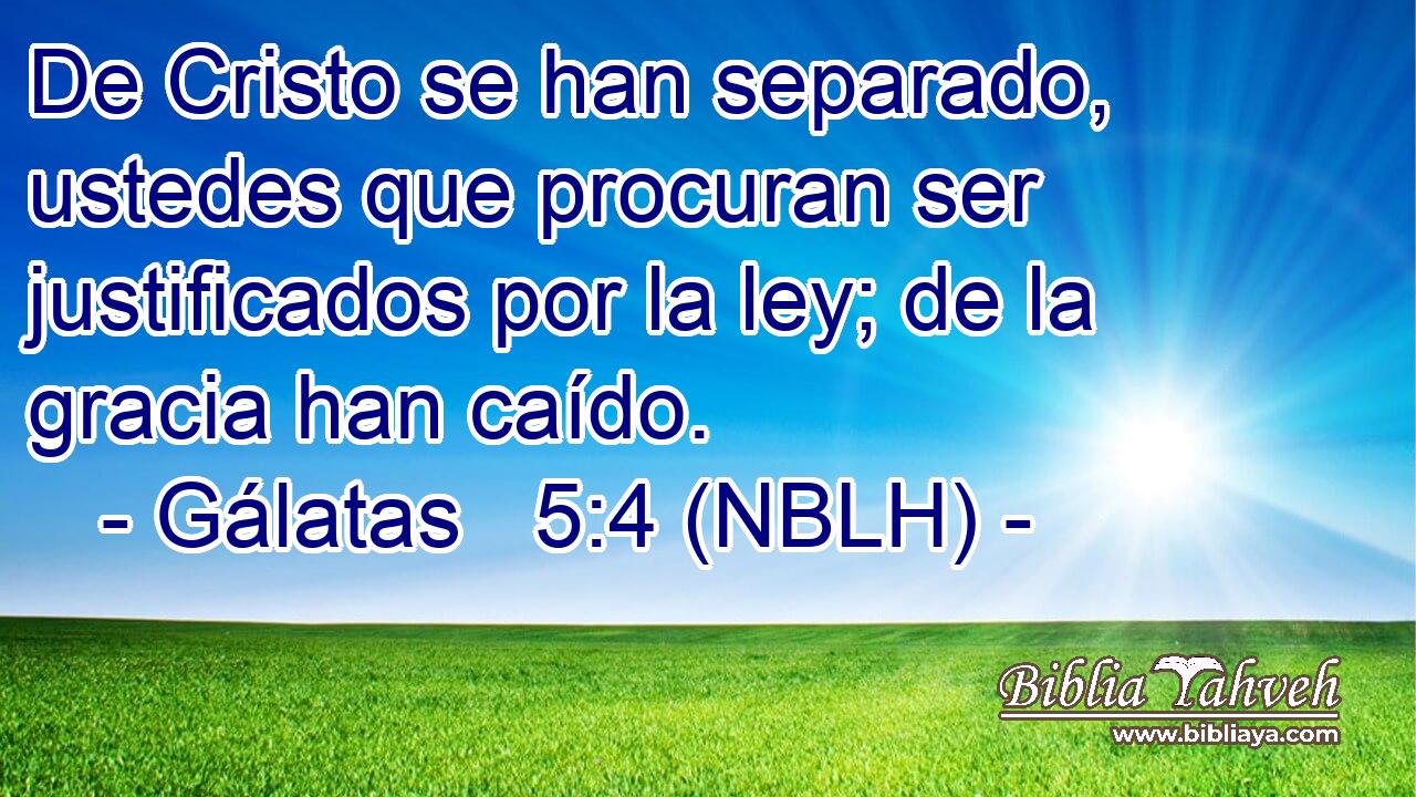  De Cristo se han separado, ustedes que procuran ser justificados por la ley; de la gracia han caído. 