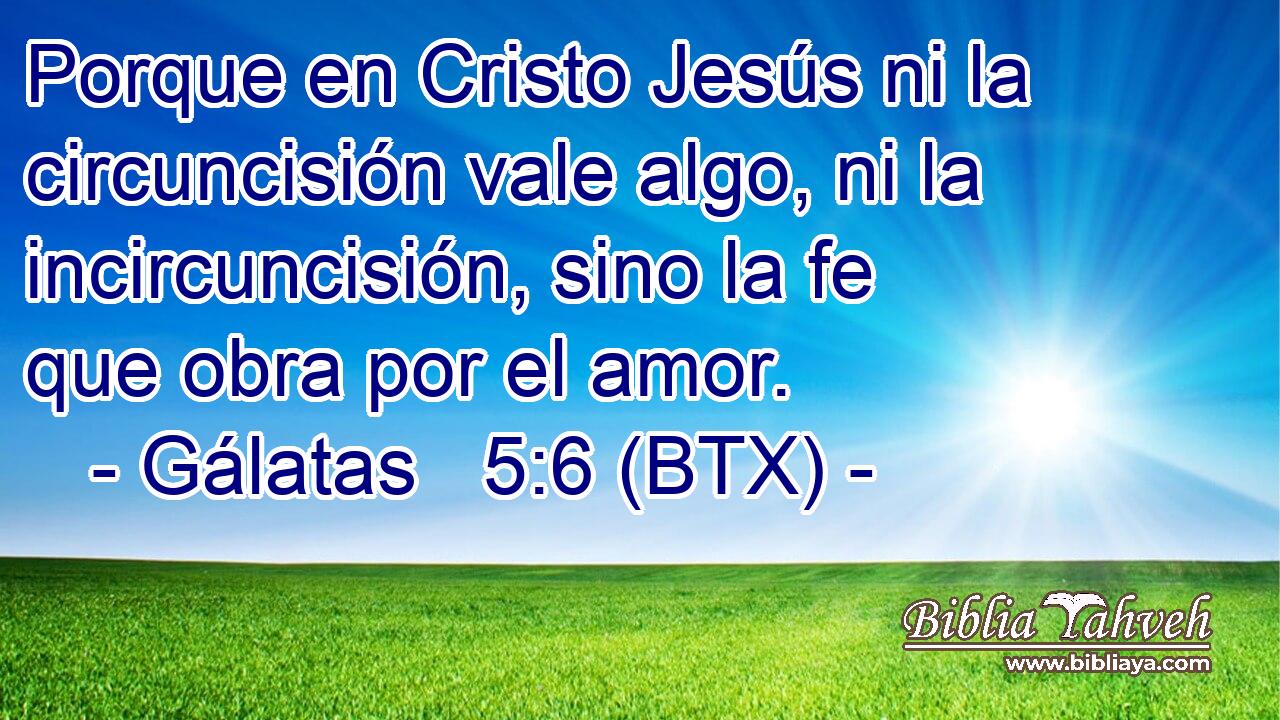 Porque en Cristo Jesús ni la circuncisión vale algo, ni la incircuncisión, sino la fe que obra por el amor.