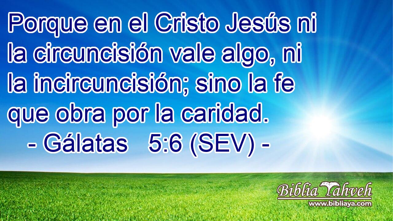 Porque en el Cristo Jesús ni la circuncisión vale algo, ni la incircuncisión; sino la fe que obra por la caridad.