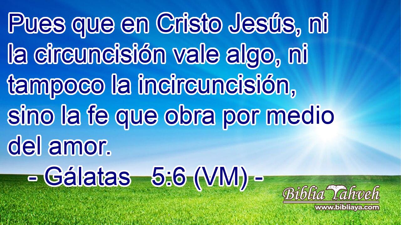  Pues que en Cristo Jesús, ni la circuncisión vale algo, ni tampoco la incircuncisión, sino la fe que obra por medio del amor. 