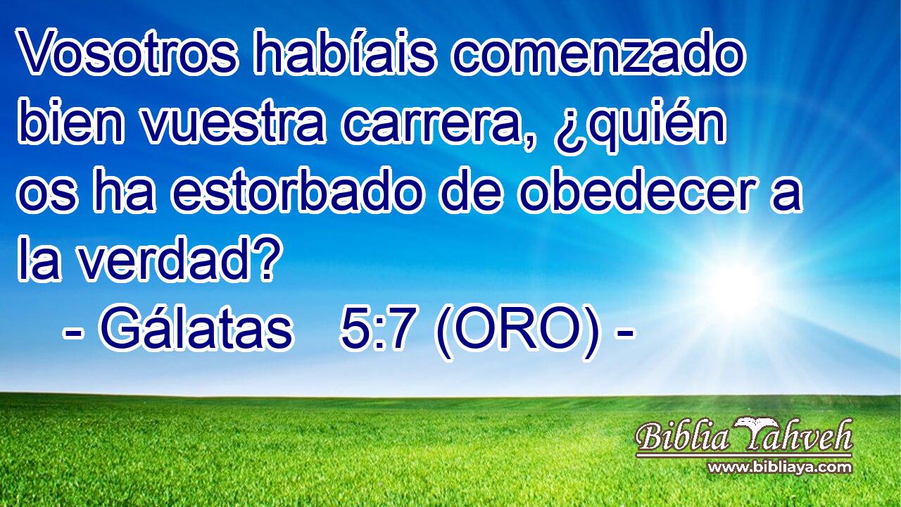  Vosotros habíais comenzado bien vuestra carrera, ¿quién os ha estorbado de obedecer a la verdad? 