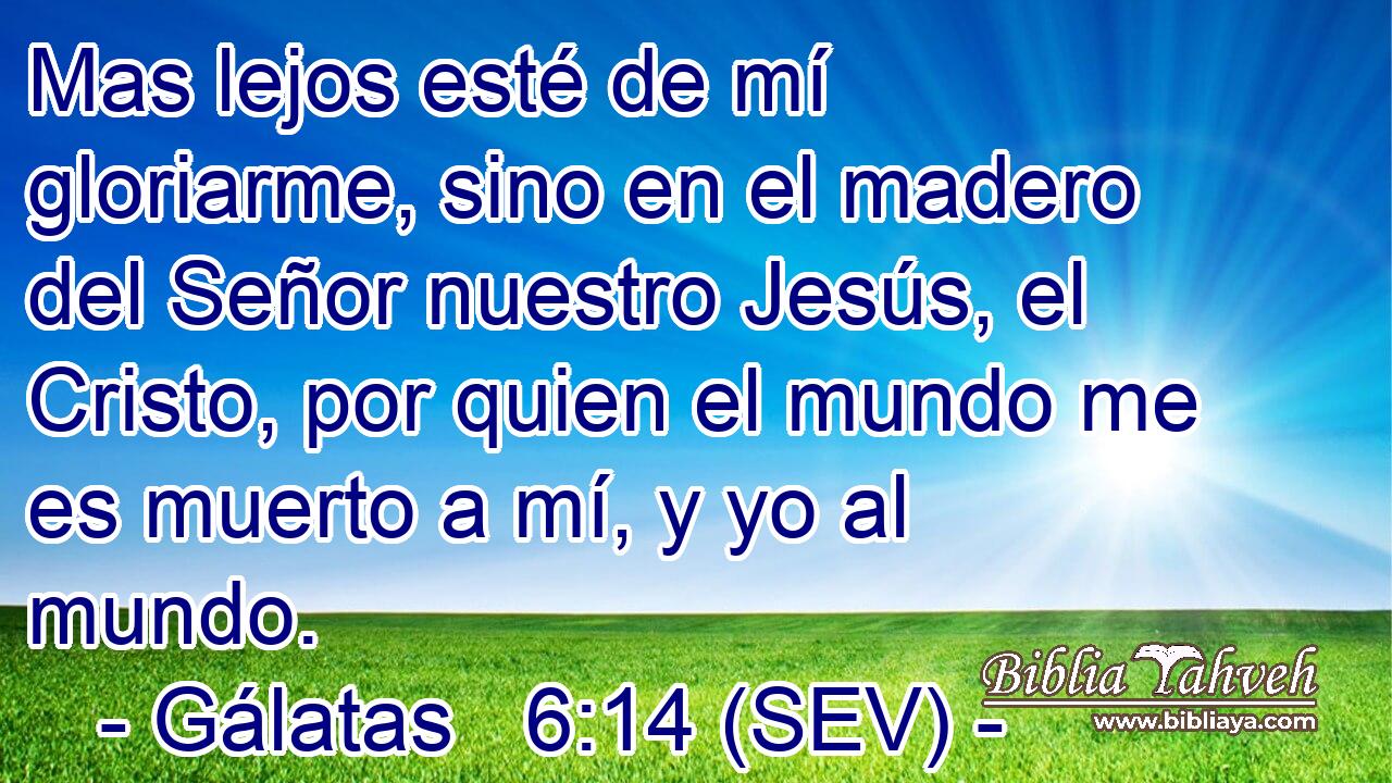Mas lejos esté de mí gloriarme, sino en el madero del Señor nuestro Jesús, el Cristo, por quien el mundo me es muerto a mí, y yo al mundo.