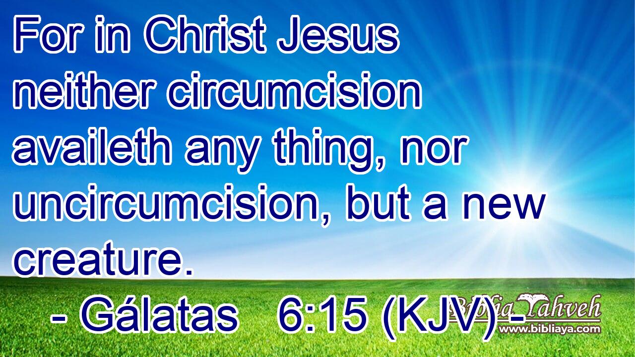 For in Christ Jesus neither circumcision availeth any thing, nor uncircumcision, but a new creature.