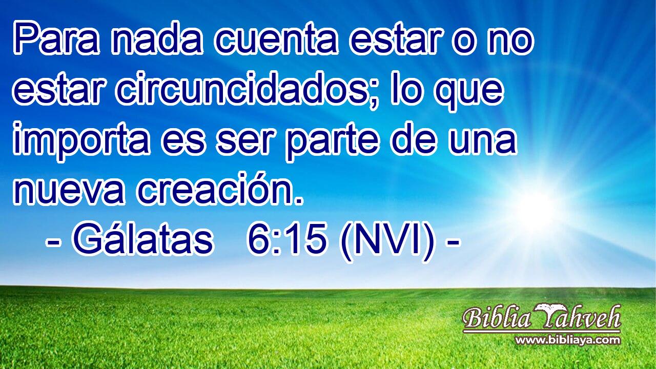  Para nada cuenta estar o no estar circuncidados; lo que importa es ser parte de una nueva creación. 