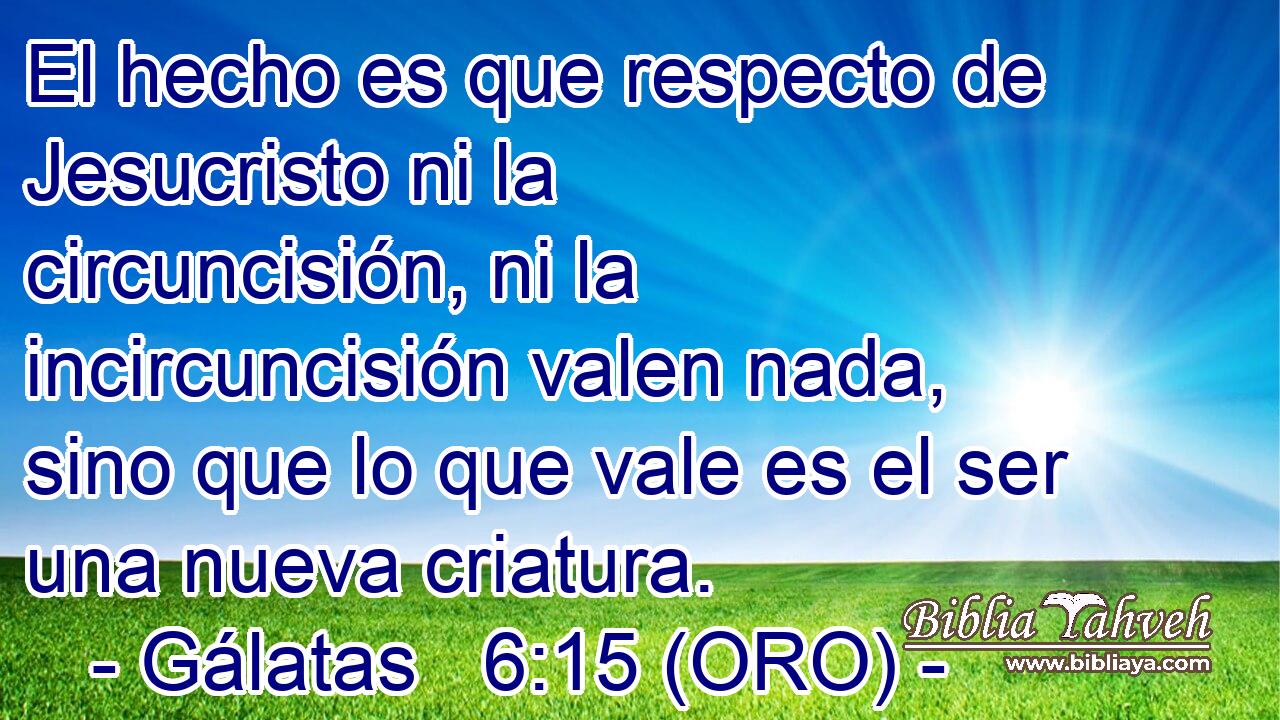  El hecho es que respecto de Jesucristo ni la circuncisión, ni la incircuncisión valen nada, sino que lo que vale es el ser una nueva criatura. 