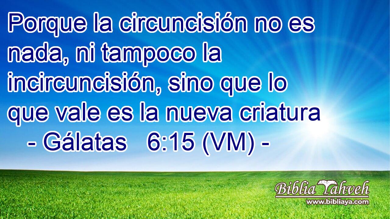  Porque la circuncisión no es nada, ni tampoco la incircuncisión, sino que lo que vale es la nueva criatura 
