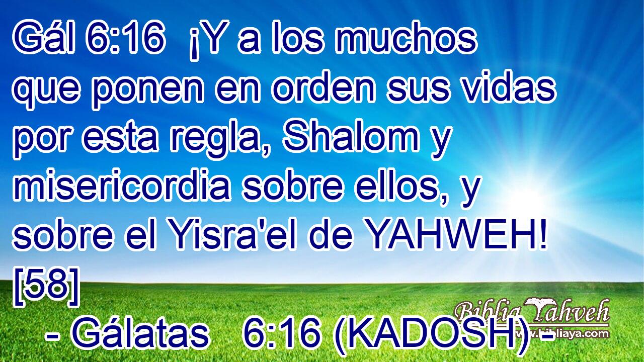  ¡Y a los muchos que ponen en orden sus vidas por esta regla, Shalom y misericordia sobre ellos, y sobre el Yisra'el de YAHWEH! [58]  