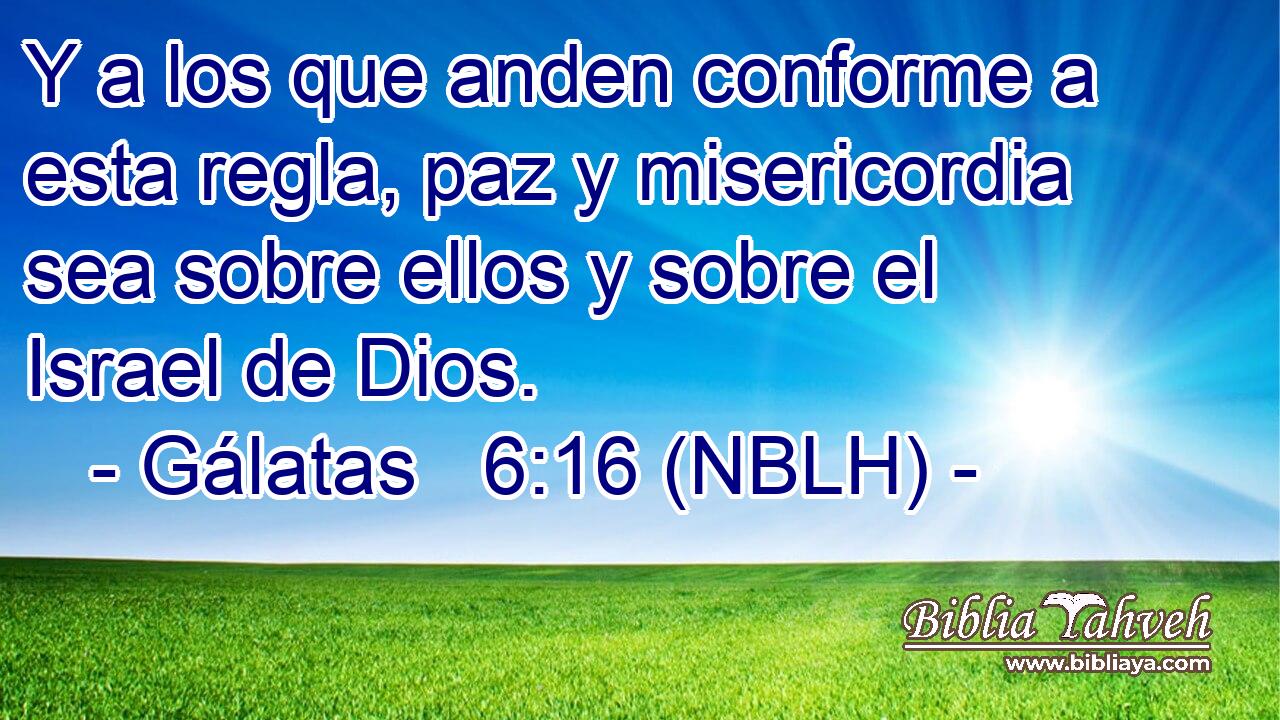  Y a los que anden conforme a esta regla, paz y misericordia sea sobre ellos y sobre el Israel de Dios. 