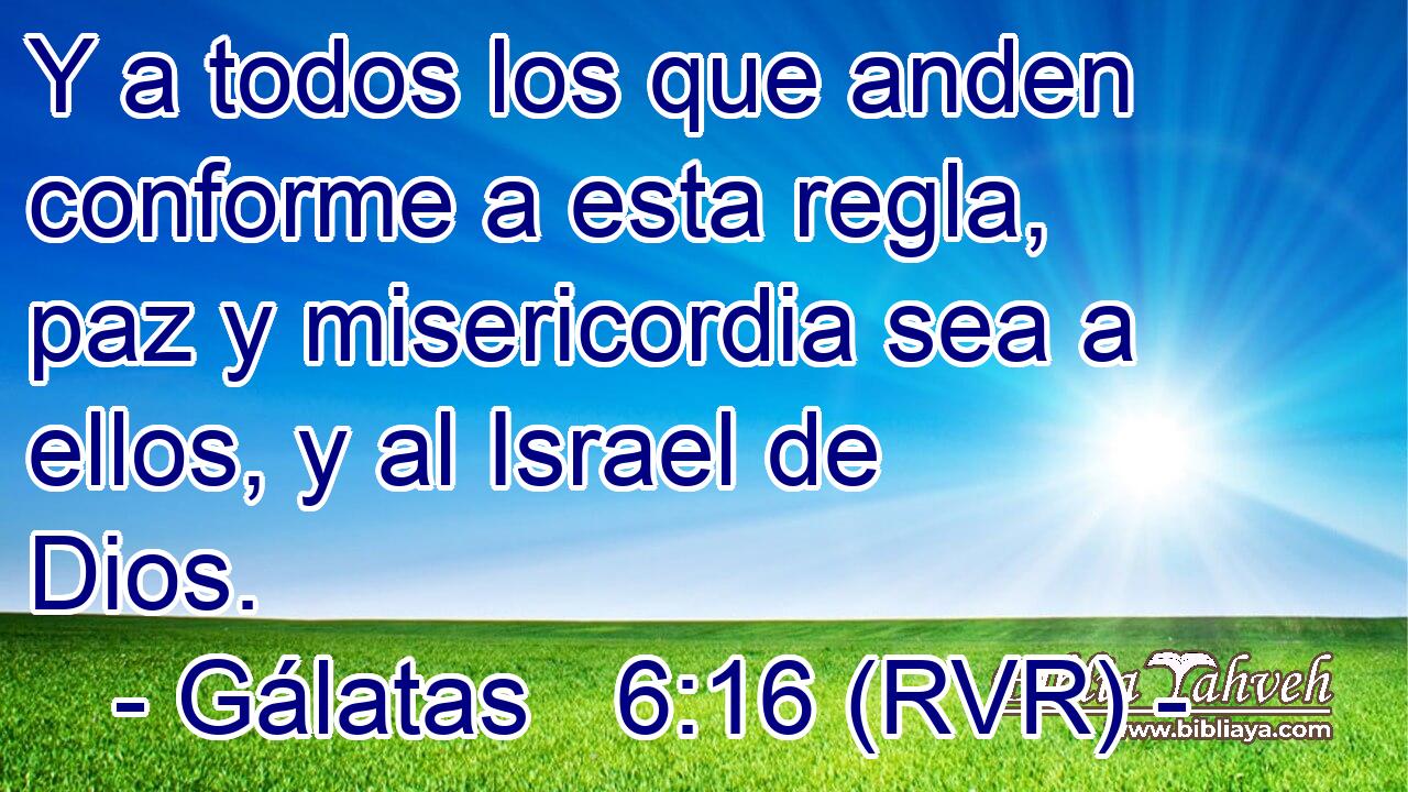 Y a todos los que anden conforme a esta regla, paz y misericordia sea a ellos, y al Israel de Dios.