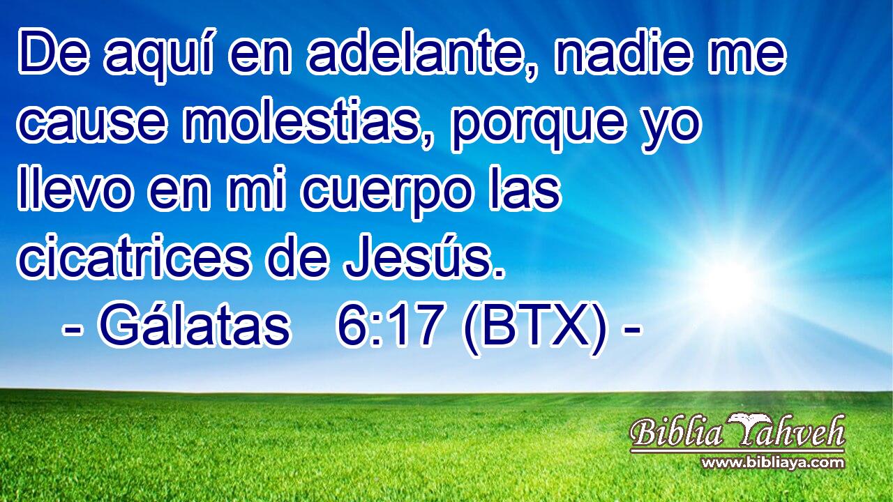 De aquí en adelante, nadie me cause molestias, porque yo llevo en mi cuerpo las cicatrices de Jesús.