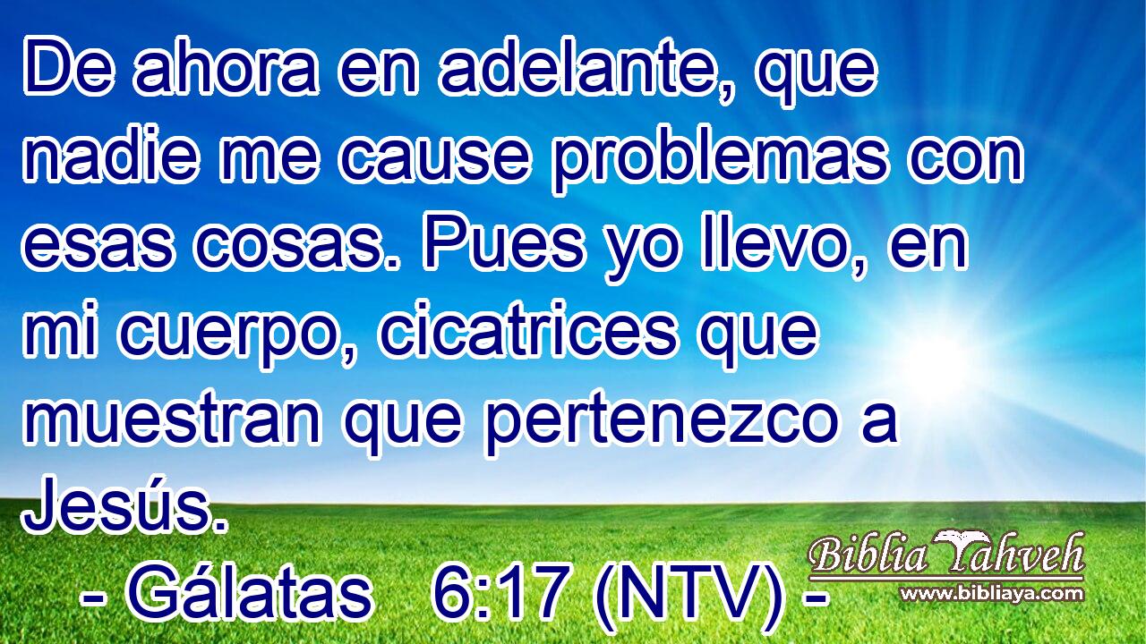 De ahora en adelante, que nadie me cause problemas con esas cosas. Pues yo llevo, en mi cuerpo, cicatrices que muestran que pertenezco a Jesús.