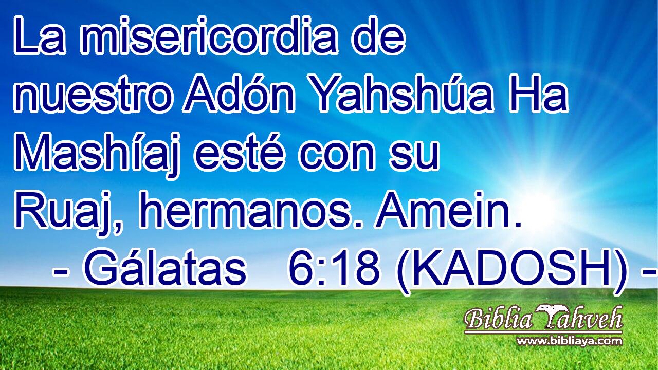  La misericordia de nuestro Adón Yahshúa Ha Mashíaj esté con su Ruaj, hermanos. Amein. 