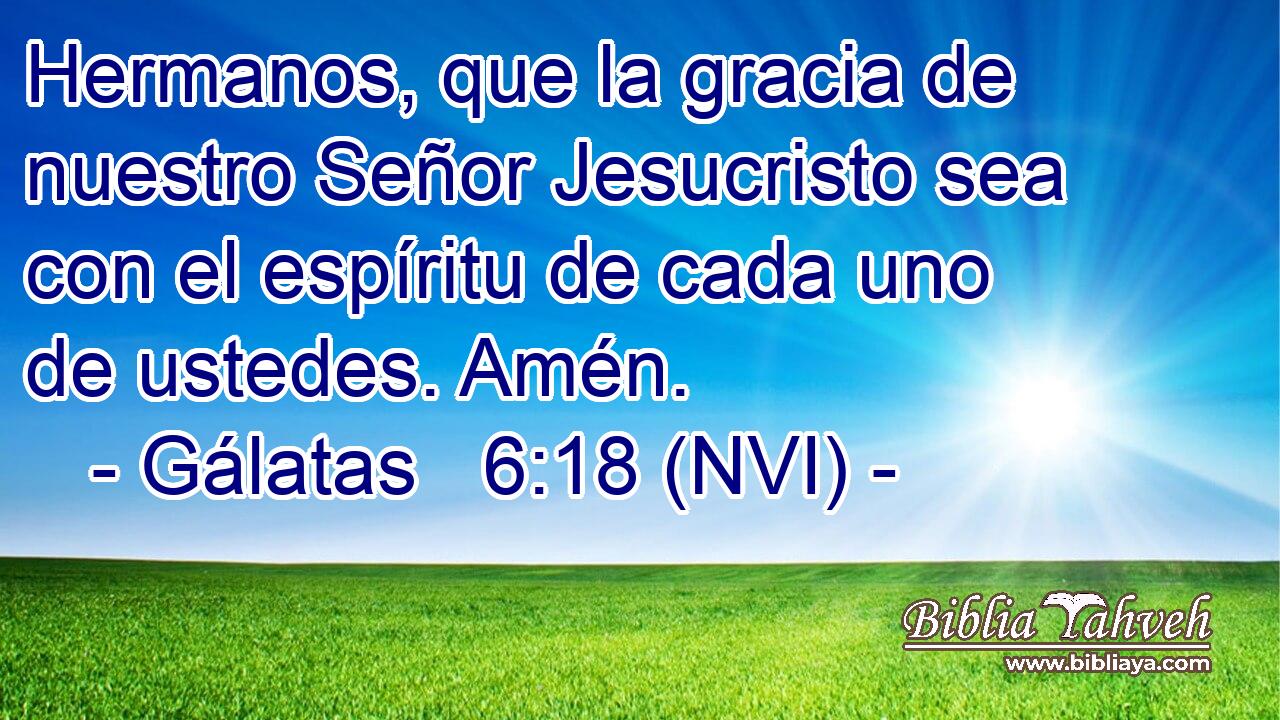  Hermanos, que la gracia de nuestro Señor Jesucristo sea con el espíritu de cada uno de ustedes. Amén. 