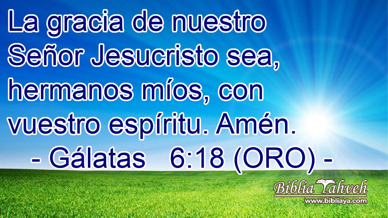  La gracia de nuestro Señor Jesucristo sea, hermanos míos, con vuestro espíritu. Amén. 