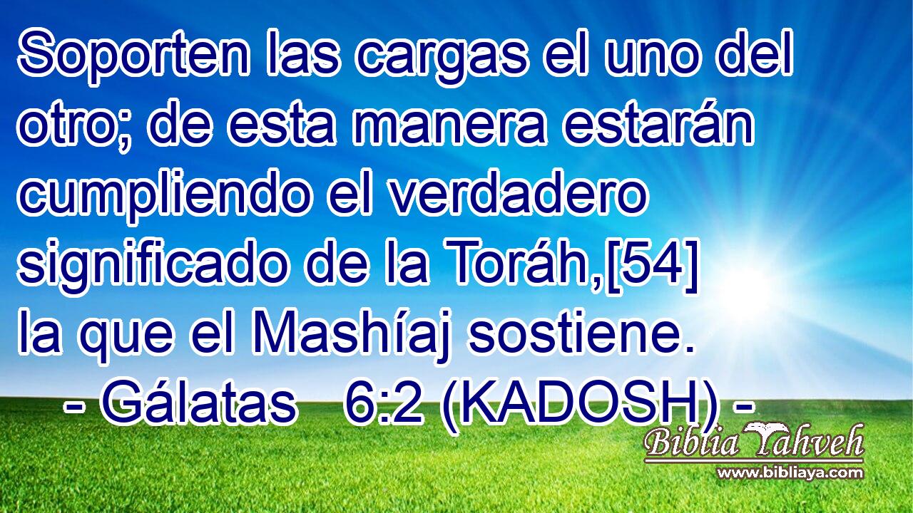  Soporten las cargas el uno del otro; de esta manera estarán cumpliendo el verdadero significado de la Toráh,[54] la que el Mashíaj sostiene. 