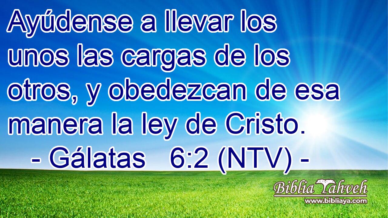 Ayúdense a llevar los unos las cargas de los otros, y obedezcan de esa manera la ley de Cristo.