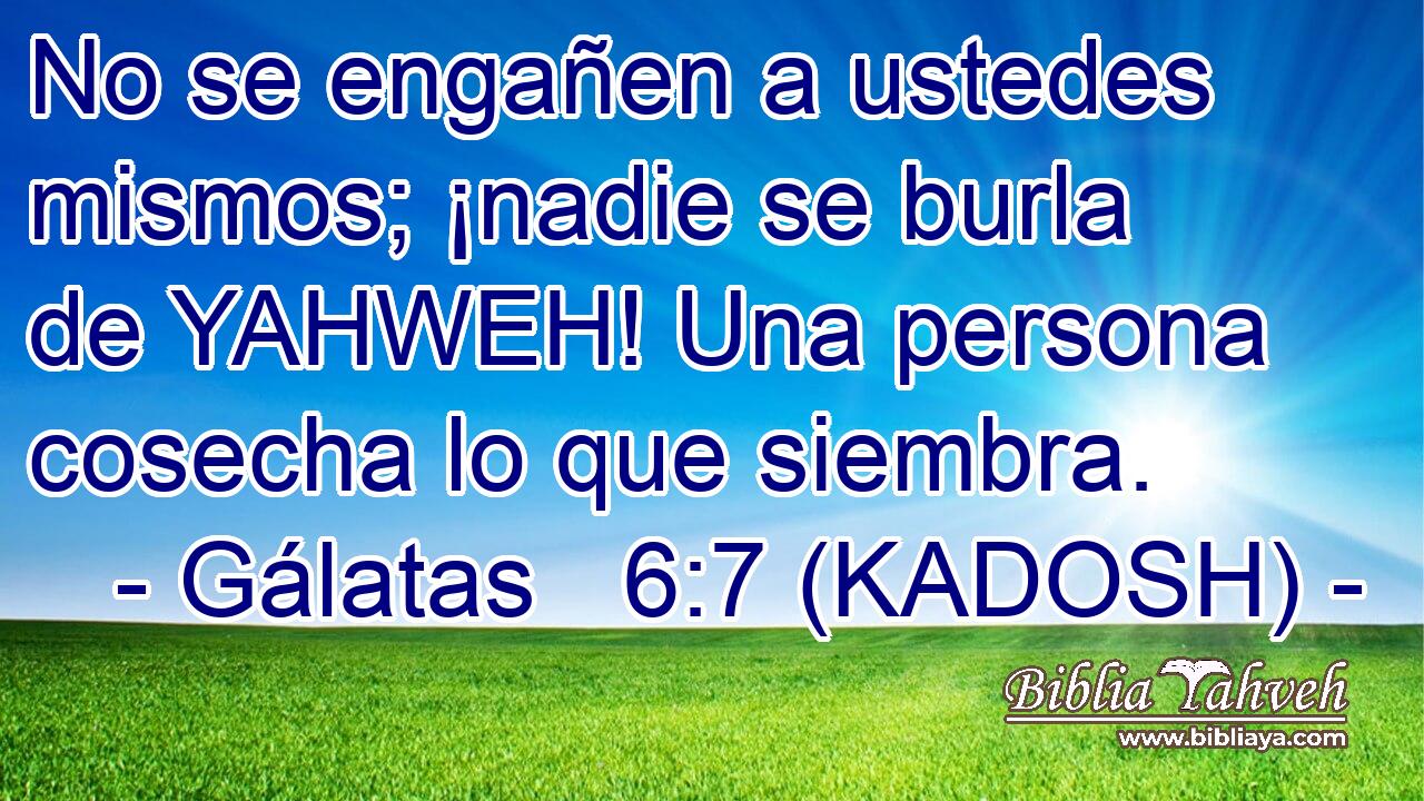  No se engañen a ustedes mismos; ¡nadie se burla de YAHWEH! Una persona cosecha lo que siembra. 