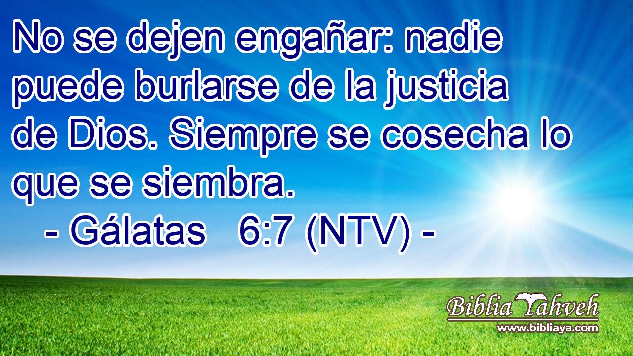 No se dejen engañar: nadie puede burlarse de la justicia de Dios. Siempre se cosecha lo que se siembra.