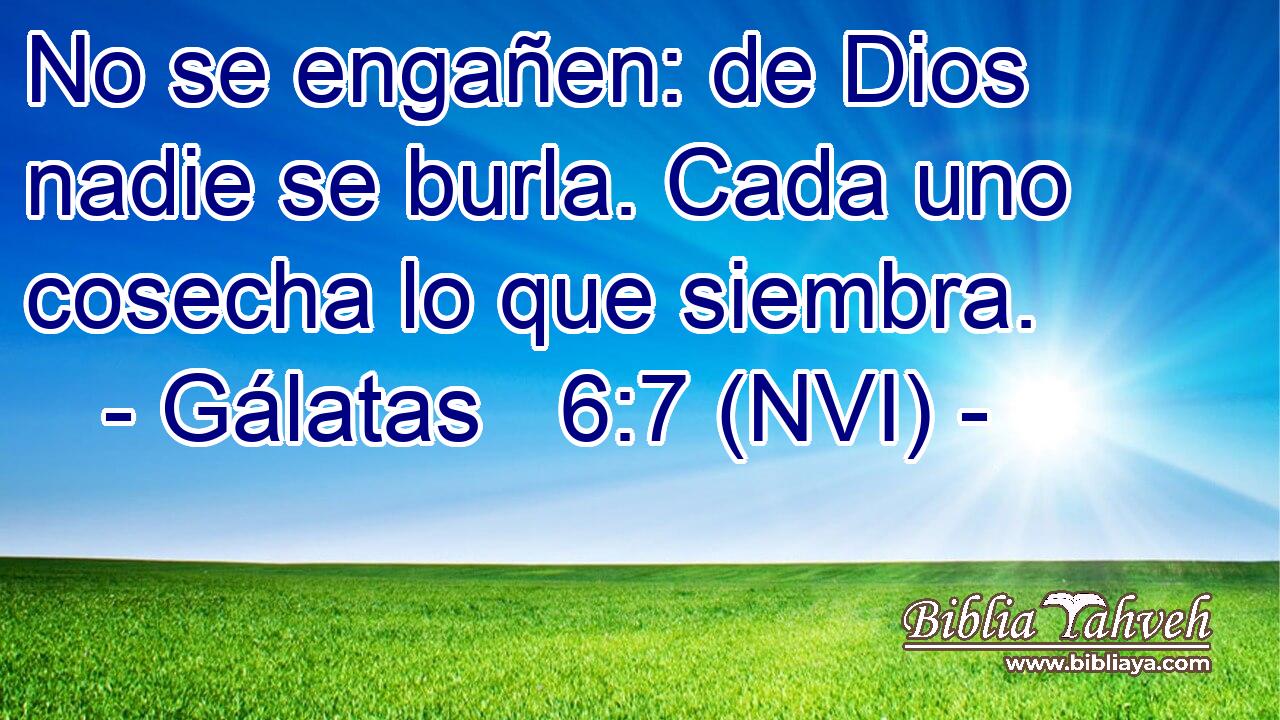  No se engañen: de Dios nadie se burla. Cada uno cosecha lo que siembra. 