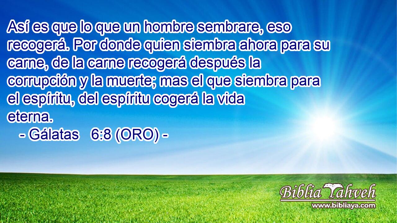  Así es que lo que un hombre sembrare, eso recogerá. Por donde quien siembra ahora para su carne, de la carne recogerá después la corrupción y la muerte; mas el que siembra para el espíritu, del espíritu cogerá la vida eterna. 
