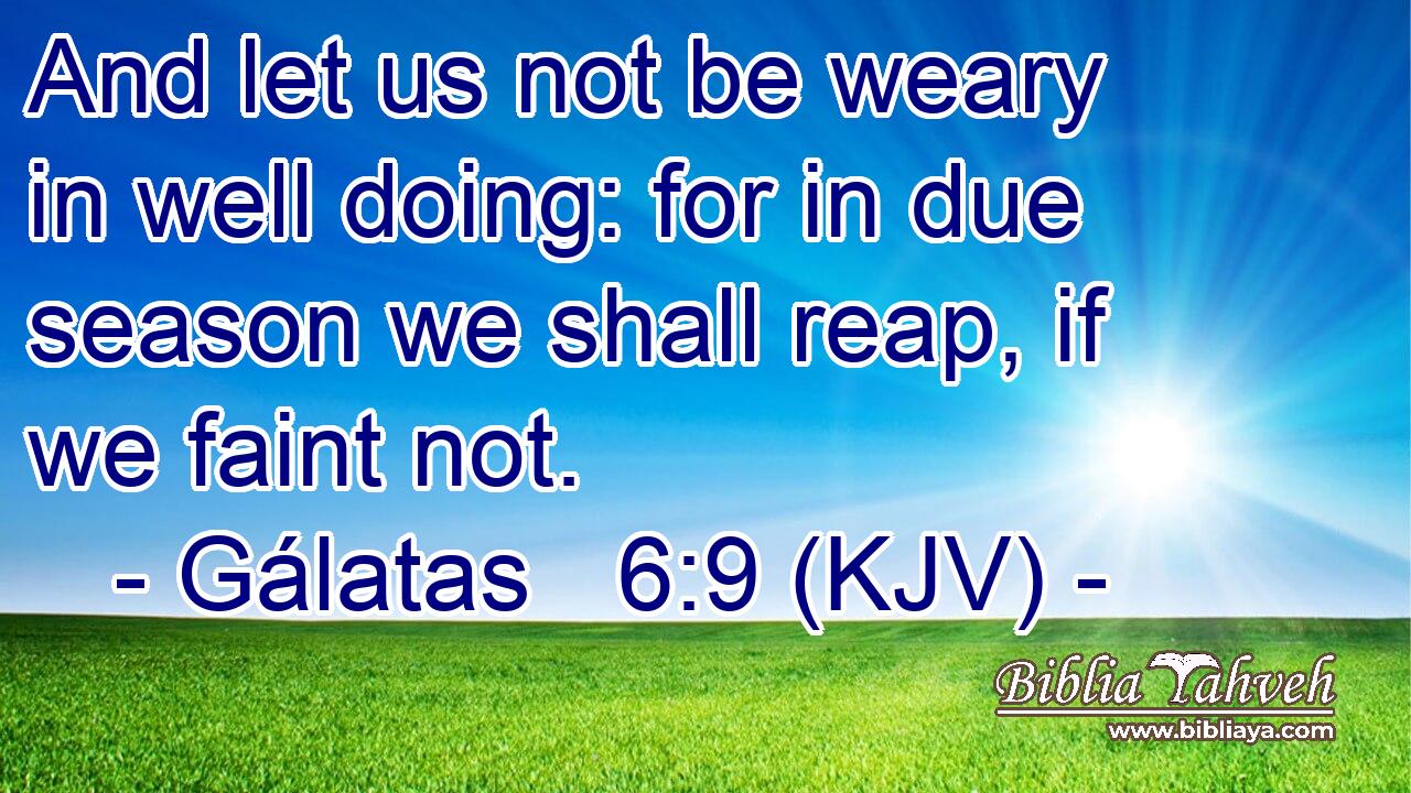And let us not be weary in well doing: for in due season we shall reap, if we faint not.