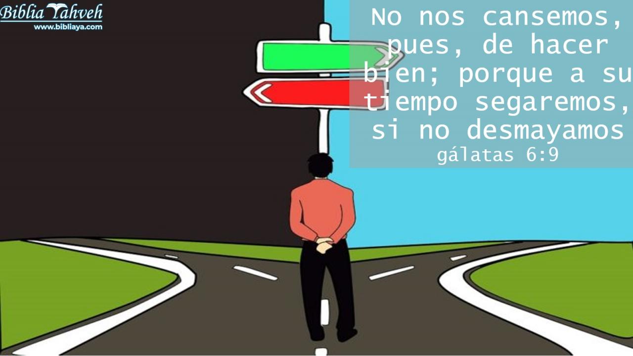 Así que no nos cansemos de hacer el bien. A su debido tiempo, cosecharemos numerosas bendiciones si no nos damos por vencidos.