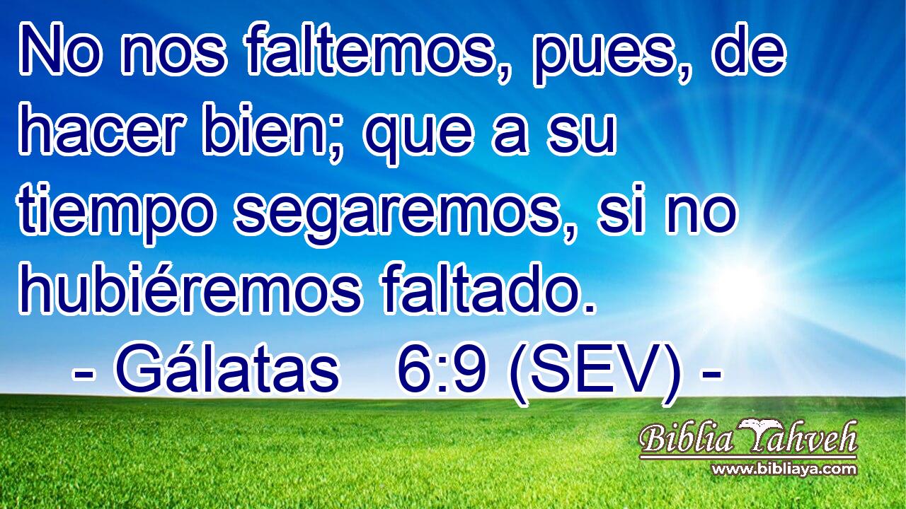 No nos faltemos, pues, de hacer bien; que a su tiempo segaremos, si no hubiéremos faltado.