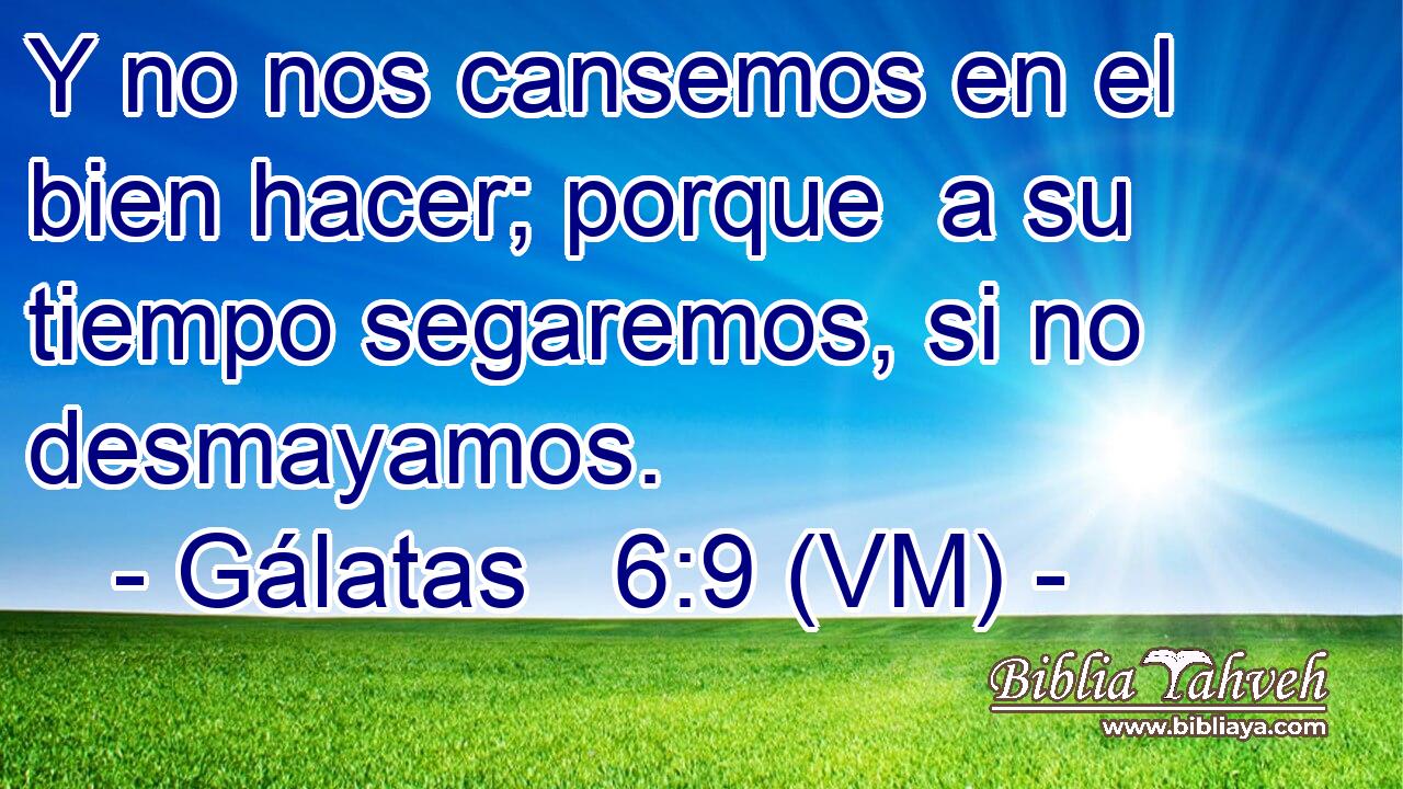  Y no nos cansemos en el bien hacer; porque  a su tiempo segaremos, si no desmayamos. 