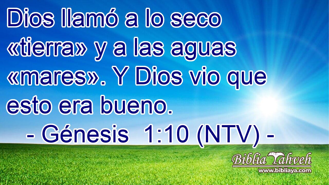Dios llamó a lo seco «tierra» y a las aguas «mares». Y Dios vio que esto era bueno.