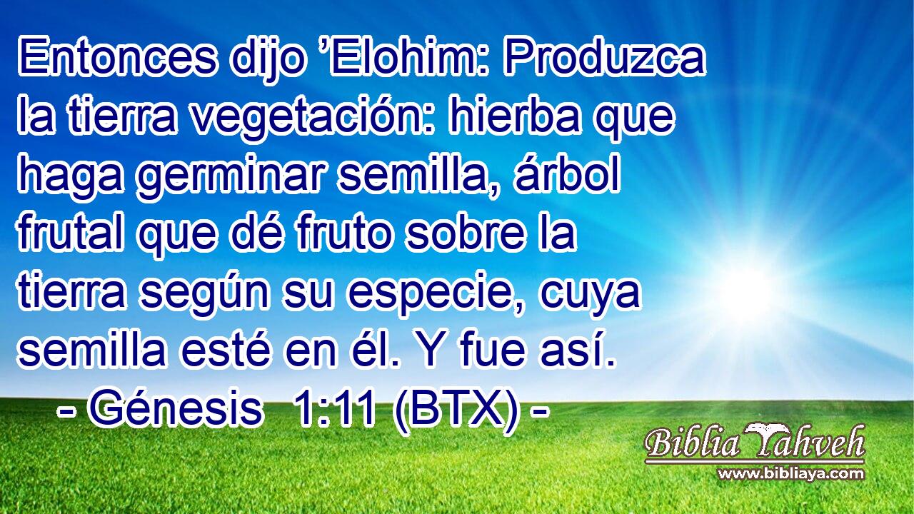 Entonces dijo ’Elohim: Produzca la tierra vegetación: hierba que haga germinar semilla, árbol frutal que dé fruto sobre la tierra según su especie, cuya semilla esté en él. Y fue así.