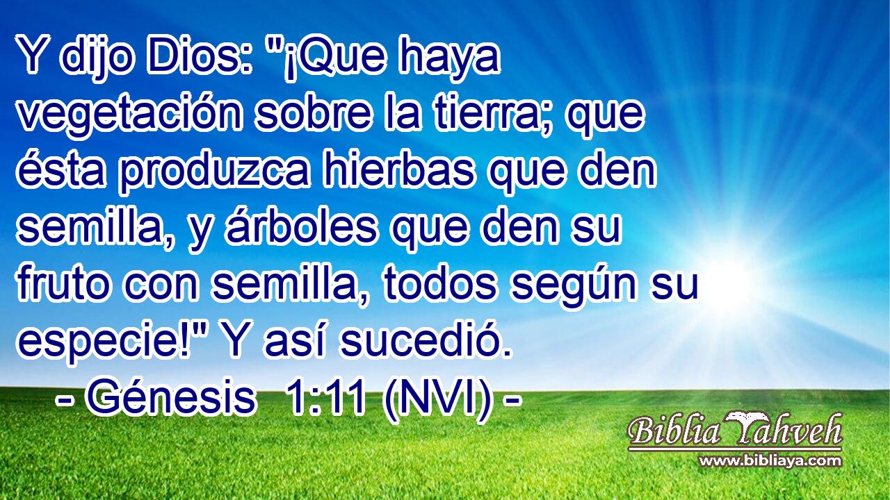  Y dijo Dios: 