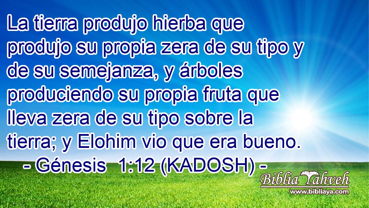  La tierra produjo hierba que produjo su propia zera de su tipo y de su semejanza, y árboles produciendo su propia fruta que lleva zera de su tipo sobre la tierra; y Elohim vio que era bueno. 