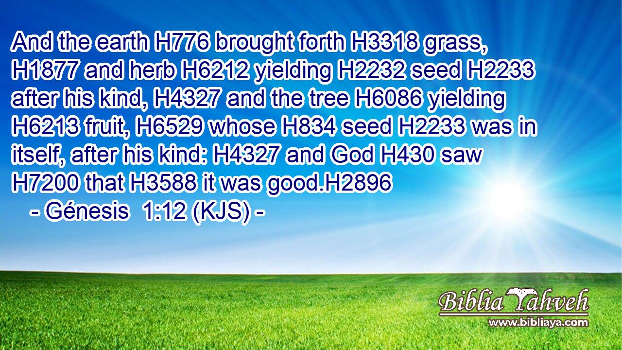 And the earth H776 brought forth H3318 grass, H1877 and herb H6212 yielding H2232 seed H2233 after his kind, H4327 and the tree H6086 yielding H6213 fruit, H6529 whose H834 seed H2233 was in itself, after his kind: H4327 and God H430 saw H7200 that H3588 it was good.H2896