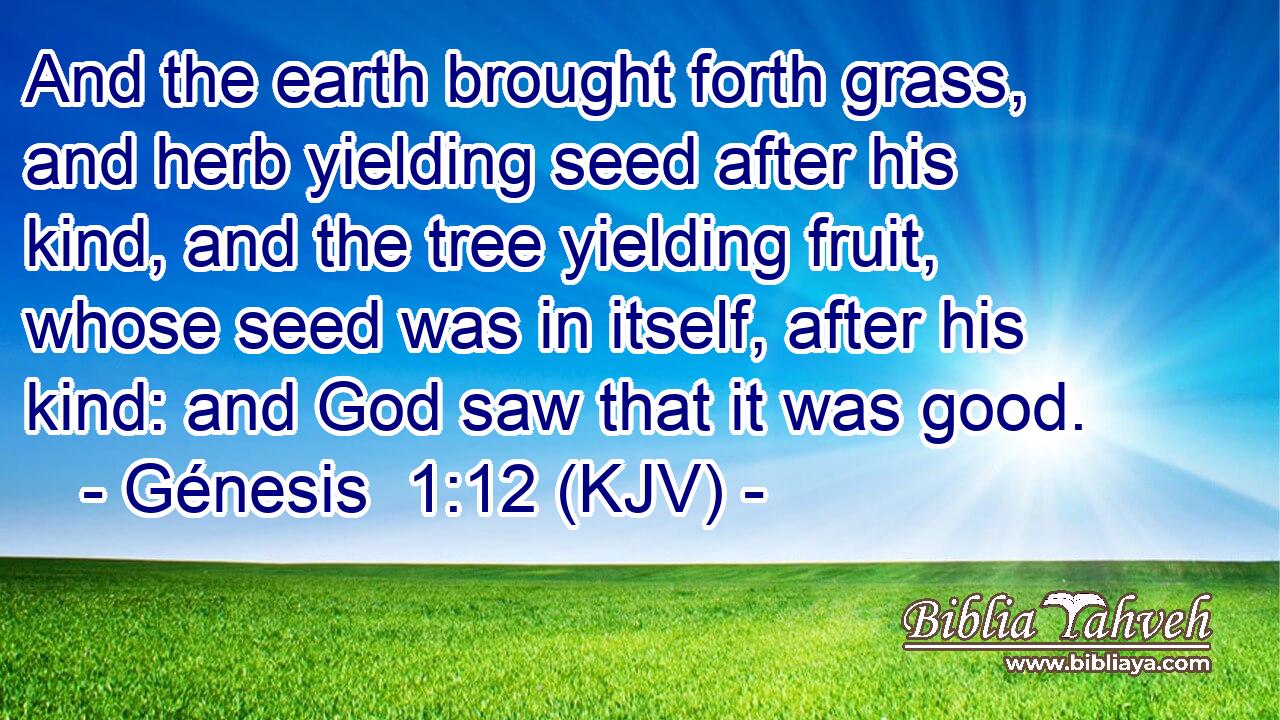 And the earth brought forth grass, and herb yielding seed after his kind, and the tree yielding fruit, whose seed was in itself, after his kind: and God saw that it was good.