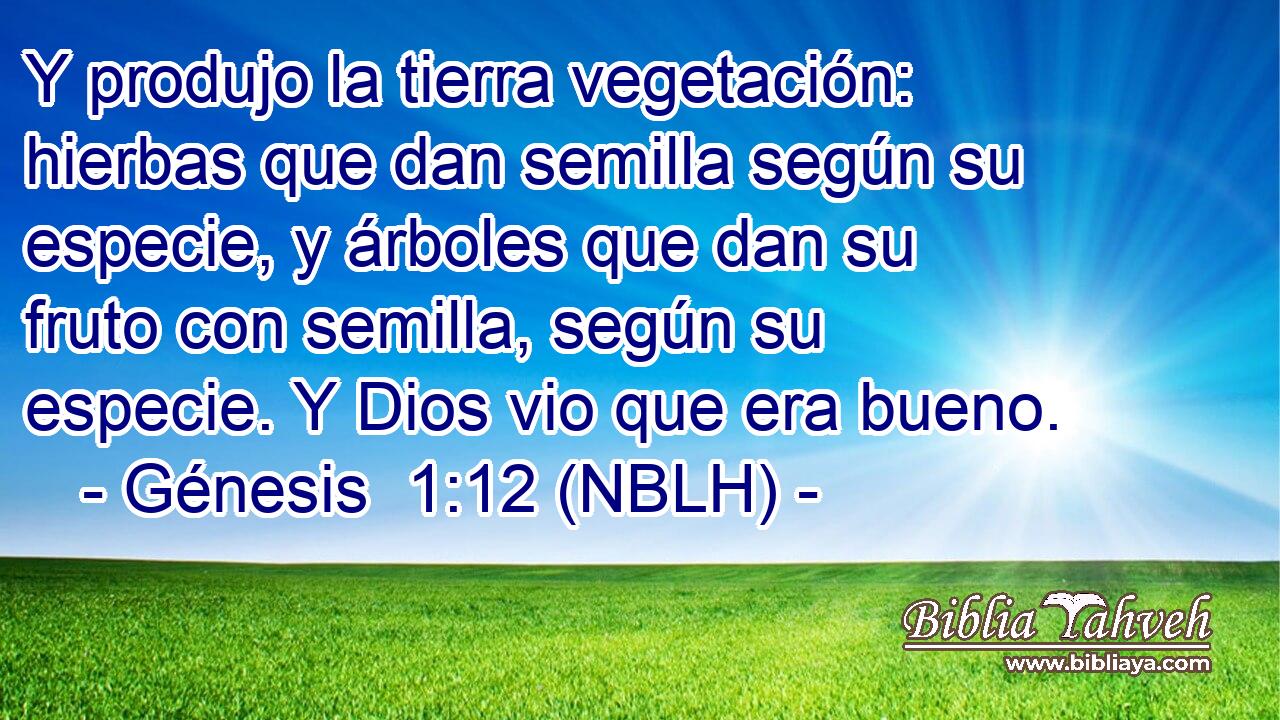  Y produjo la tierra vegetación: hierbas que dan semilla según su especie, y árboles que dan su fruto con semilla, según su especie. Y Dios vio que era bueno. 