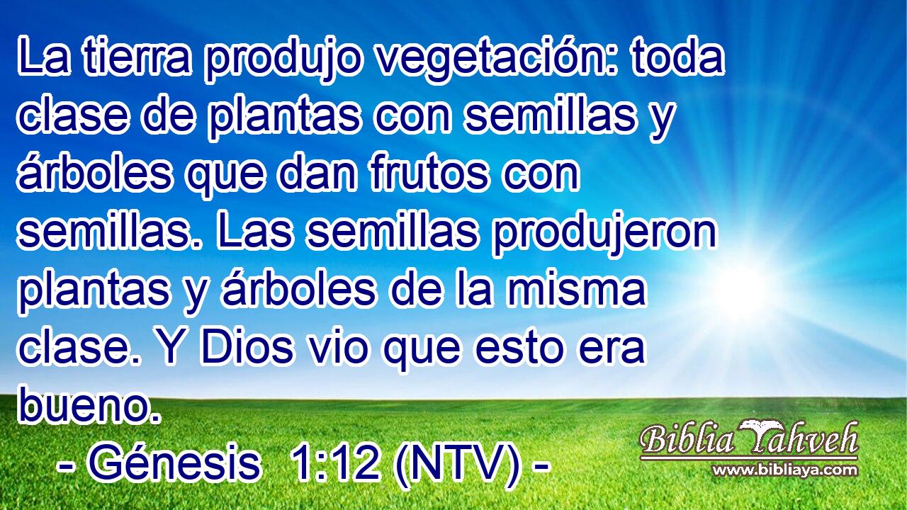 La tierra produjo vegetación: toda clase de plantas con semillas y árboles que dan frutos con semillas. Las semillas produjeron plantas y árboles de la misma clase. Y Dios vio que esto era bueno.
